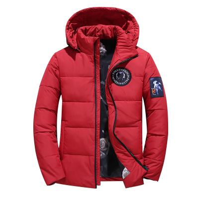 China Warm Sustainable Mens Winter Coat Down Jacket With Hoods Thick Anorak Stripper Jacket Man for sale