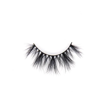 China Diana Vendor Wholesale Private Label Natural Long Pack With Bulk Brand 5d 25mm Mink Eyelashes Vendor For My for sale