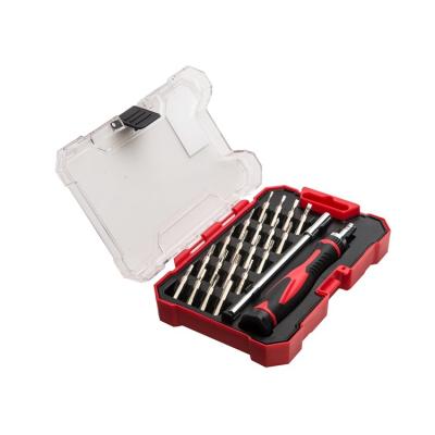 China Chrome-Vanadium Steel 22 Pcs Tools Hardware Precision Repair Screwdriver Ratcheting Set for sale