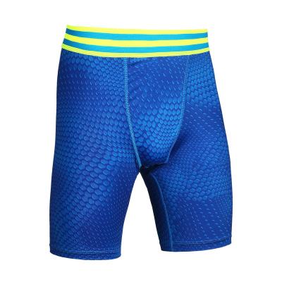 China Manufacturer Wholesale Antibacterial Fitness Pants Mens Basketball Boxer Shorts Elastic Pants Sports Running Tight Shorts for sale