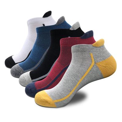 China Wenlyshine RTS Athletic Men Thicken Terry Socks Padded Thick Socks Elite Sports Basketball Running Socks for sale