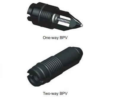 Китай Один клапан обратного давления TWCV пути двухсторонний BPV 2
