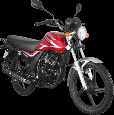 China LIFAN 125cc Street Bike Economy Motorcycle LIFAN LF125-2C for sale