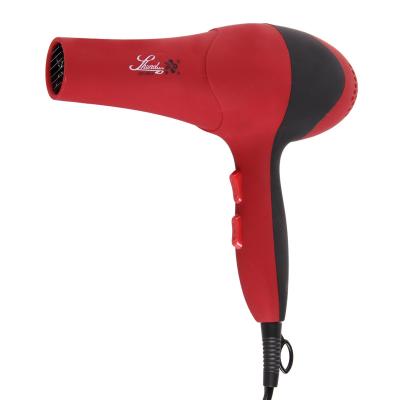 China SHUNDAN's other best quick-dry like fresh air puff cute professional hair dryer for sale