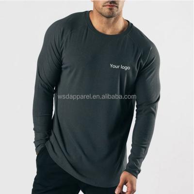 China Anti-Wrinkle Crew Neck 95% Cotton 5% Elastane Mens Fitted Long Sleeve T-Shirt for sale