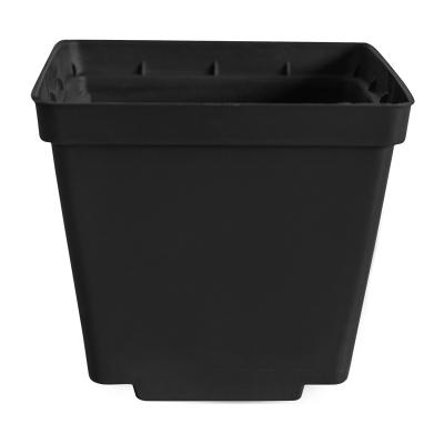 China Durable Customized Different Size Black Color PP Plastic Square Nursery Plant Pot for sale