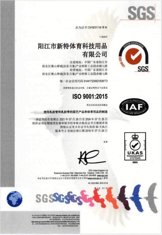 ISO9001 - Yangjiang New Sports Technology Products Co., Ltd.