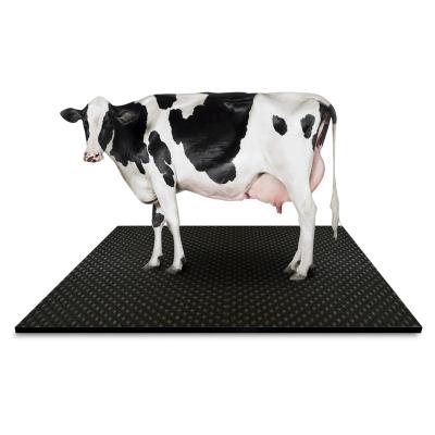 China Custom 24mm 34mm Eva Foam Comfort Baffled Cow Pad Cow Interlocking Mat for sale