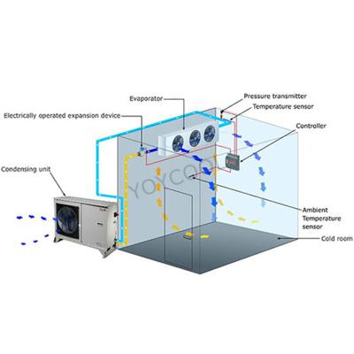 China Highly efficient 20GP/40HQ hotels factory price containerized mobile solar powered ColdRoom coold storage/mobile cold room/solar power for sale