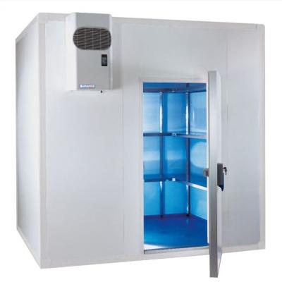 China Solar Power Vegetable And Fruit Frozen Food Storage Or Others Used Cold Room For Sale for sale