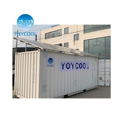 China Hotels Cold Storage Solar Power Cooler Solar Room Reefer Container for sale