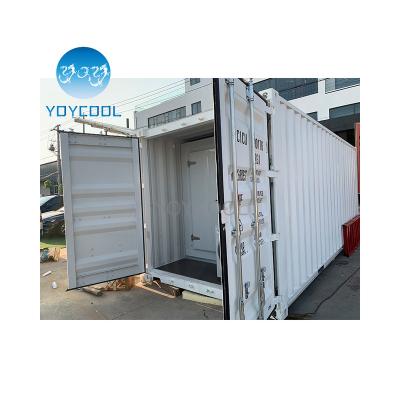 China Hot Selling Hotels Container Blast Freezer For Fruit for sale