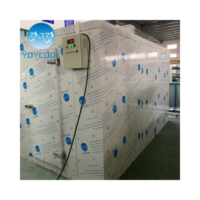 China Cold Storage Room Cold Storage Room Mini Cold Storage Tomato Walk In Coldroom Freezer Cold Room NUMBER ONE Cooler/Freezer In Container for sale