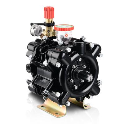 China Irrigation And Agriculture China Manufacturer Chemical Resistant Agricultural Diaphragm Pump for sale