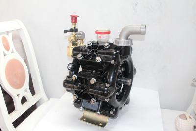 China Hotels HYDRULE Pump Sprayer Type And Agriculture Use Diaphragm Pump for sale