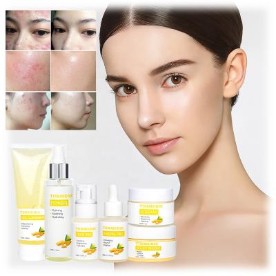 China Face Private Label Ginger Extract Organic Facial Skin Care Set Anti Acne Whitening Repair Face Care Turmeric Skin Care Set for sale