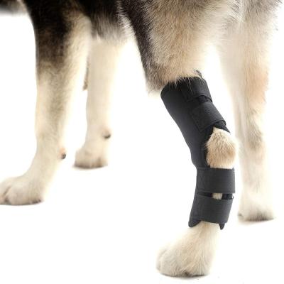 China Supply Sports Protective Neoprene Dog Knee Support Brace Protector Hot Selling Dog Leg Brace For Hock Joint Wrap for sale