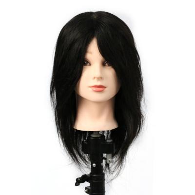 China Cosmetology Mannequin Heads Factory Wholesale 18 Inch Luxury Synthetic Hair Model Head. Braiding hair forms the head of the doll for sale