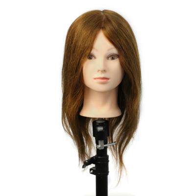 China Wholesale High Quality Human Body Cosmetology Mannequin Heads Factory Teaching Hair Model Head Can Be 100% Customized 18-4D Hair Model Head for sale