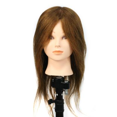 China Wholesale High Quality Human Body Cosmetology Mannequin Heads Factory Teaching Hair Model Head Can Be 100% Customized 18-4Z Hair Model Head for sale