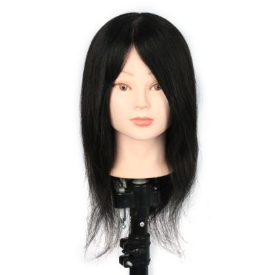 China Wholesale High Quality Human Body Cosmetology Mannequin Heads Factory Teaching Hair Model Head Can Be 100% Customized Hair Model Head 18-A for sale