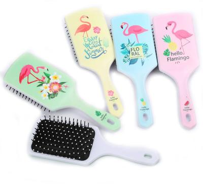 China Magic Squirrel Plastic Material Hair Brush Waterproof Nylon Teeth Massage Paddle Hair Brush for sale