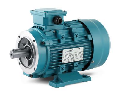 China 0.75kw WATERPROOF three phase electric motor B3 B5 B14 B35 B34 MS802-4 1400rpm 2800rpm 900rpm for sale