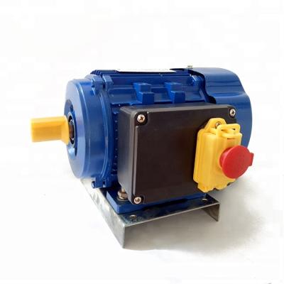 China 500 Watt 220v 220 Volt AC Single Phase Induction Motor Totally Enclosed Price for sale