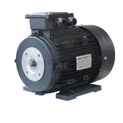 China Best Speed ​​2hp Motor Totally Enclosed Choice Hollow Shaft Electric Motor for sale