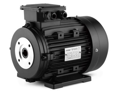 China WATERPROOF 3kw 4Hp 3 Phase Hollow Shaft Electric Motor For Pressure Washer for sale