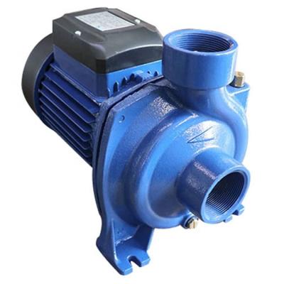 China Water Supply NFM-300 (130A) 3 Hp Centrifugal Water Pump Electric Booster Pump for sale