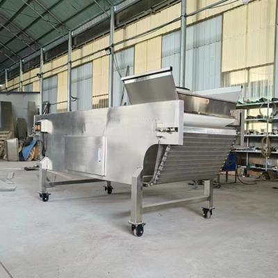 China Snack food factory Stainless Steel Snack Food Cooling Machine  Peanut Cooling Machine  Fried Food Cooler machine for sale