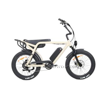 China Standard 20 Inch Wheel Fat Tire Electric Bicycle 48v 750w Rear Electric Motor for sale