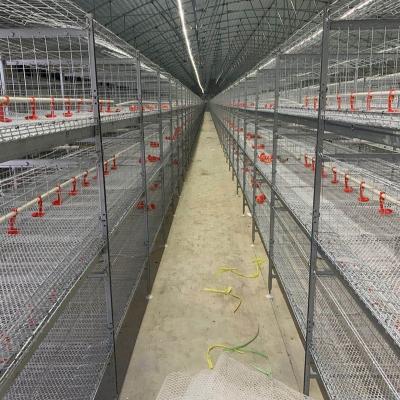 China Hot Sale Poultry Farm Layers Increase Egg Production Used Layer Battery Chicken Cage Carbon Steel Philippines Accessories China Tank Nipple for sale