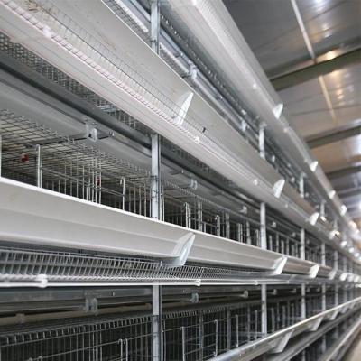 China Automatic Galvanized Battery Design Complete Automatic Poultry Farm Modern House Chicken Cages For Sale Russia Philippines Thailand Peru for sale