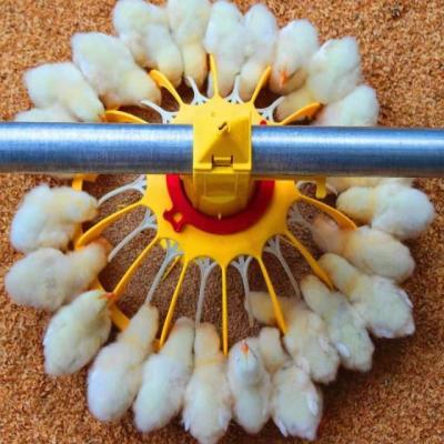 China Poultry Full Automatic Automatic Chicken Feeders System For Poultry Farm Equipment for sale