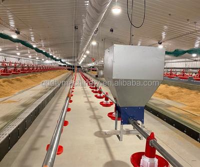 China Save breeding cost animal feeders and chicken feeders use for broiler chicken and poultry house equipment feeding system and line for sale