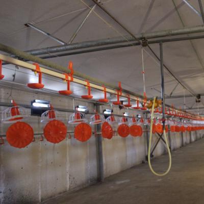 China Savings Breeding Cost Auto Broiler Feeder Pan And Feeding Line System Use For Chicken And Broiler House Equipment for sale