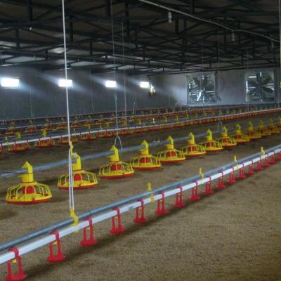 China Poultry farm chicken feeding poultry chicken automatic feeder of farm equipment in poultry chicken farm for sale