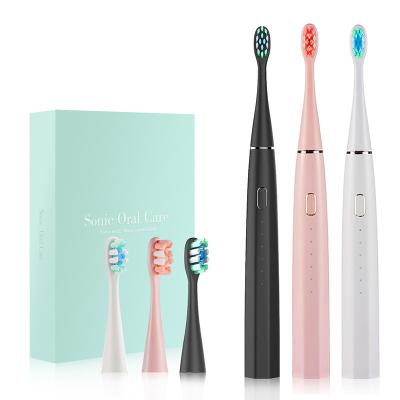 China The Dreamy and Economical OEM Private Label 5 Modes One Charge Lasts 6 Months Ultrasonic Toothbrush Sonic Travel Electric Automatic Toothbrush for sale