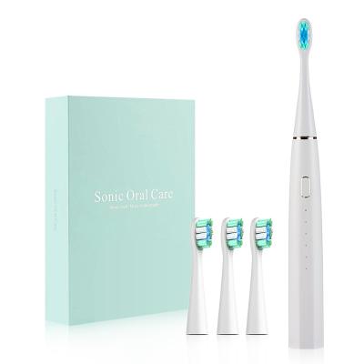 China Dreamy and Economic Whitening Rechargeable Electric Toothbrush CE Certified Automatic Ultrasonic Electric Toothbrush with Soft Dupont Bristles for sale