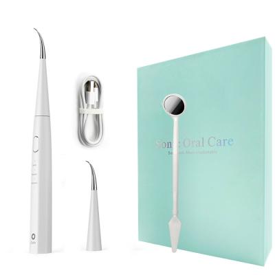 China Modern Waterproof Dental Electric Dental Calculus Remover Removable Teeth IPX7 Scaler Plaque Scaler Tooth Remover for sale