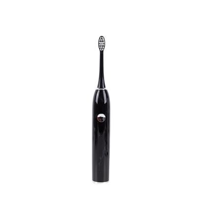 China IPX8 2021 Grade Waterproof High Quality Custom Rotary Deep Clean Electric Toothbrush Battery Operated for sale