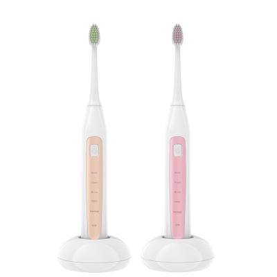 China Rechargeable USB Charging Slim Electric Toothbrush IPX7 Waterproof Multiple Functions For Adults for sale