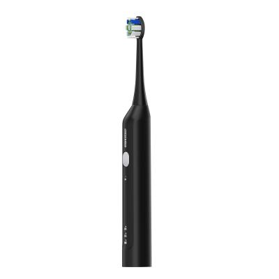 China Wholesales Rechargeable IPX7 Rechargeable Sonic Electric Toothbrush Designed Waterproof For Adults for sale