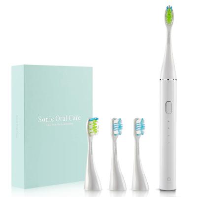 China Wholesale Rechargeable Rechargeable Electric Toothbrush IPX7 Waterproof Portable For Adults for sale