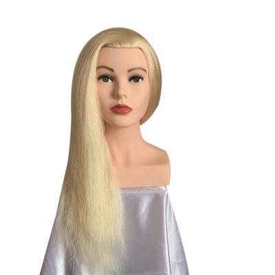 China With Wig Mannequin Smiling Head With Shoulders for sale