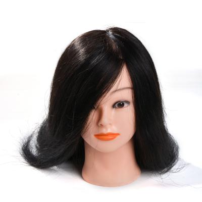 China Cosmetology Manikin Heads 2020 Cosmetology Training School Hair Training Doll Head For Hairdresser Practice Haircut Training Head for sale