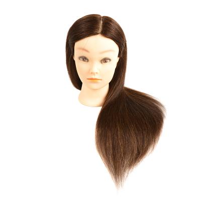 China Silky Straight Wave Fashion Model Head With Hair , Training Head Afro for sale