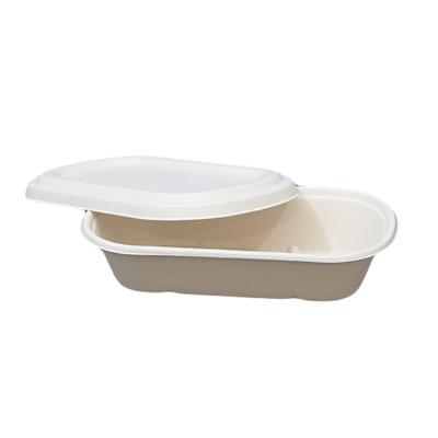 China NTBX75018 Minimalist High Quality Single Compartment Eco-friendly Disposable Biodegradable Sugarcane Bagasse Pulp Box for sale